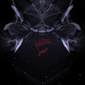 The Electro Compendium