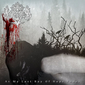 As My Last Ray Of Hope Fades (Single)