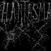 Phantasmal