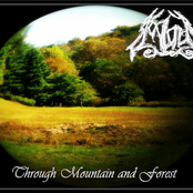 Through Mountain and Forest