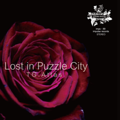 Lost In Puzzle City
