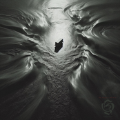 The Synapse / Old Veils