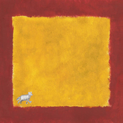 Sonho de Cachorro - EP