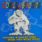 Gorilla Biscuits: Having A Great Time..Wish You Were Here