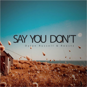 Say You Don't - Single