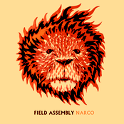 field assembly