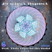Project Aspect: Put This World On Hold LP