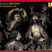 Bruhns: Das Kantatenwerk
