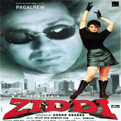 Ziddi