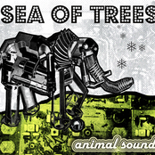 Animal Sounds