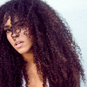 gavin turek