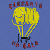 Elefante na Sala (Demo)