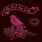 March To The Mountain by The Lord Dog Bird