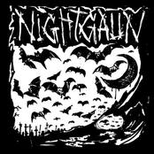 Nightgaun