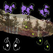 Two Squirrels Fighting Each Other at the End of the World