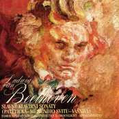 Ludwig van Beethoven. Famous Piano Sonatas (Pathetique-Moonlight-Appassionata)