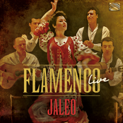 Jaleo: Flamenco Live