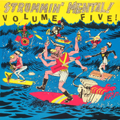 Strummin' Mental Vol 5 (LP)