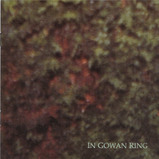 The Twin Trees by In Gowan Ring