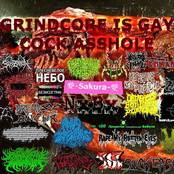 Grindcore Is Gay Cock Asshole