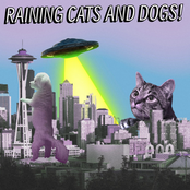 Raining Cats and Dogs