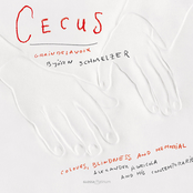 Cecus