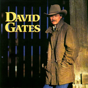 Dear World by David Gates