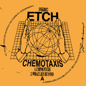 Chemotaxis