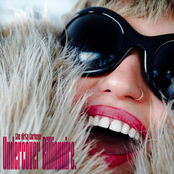 The Dirty Turkeys: Undercover Billionaire