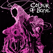 COLOUR OF BONE