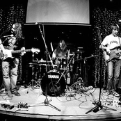 2006
