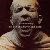 In Flux by Sad Lovers And Giants