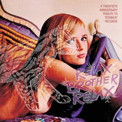 Relax Brother, Relax: A Twentieth Anniversary Tribute to Teenbeat Records