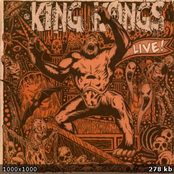 King Kongs Live!