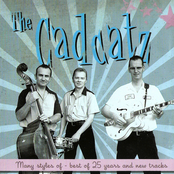 The Many Styles Of The Cadcatz