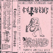 Corneus / Grollfried