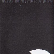 Verse Of The Black Bird