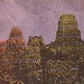 Street Drinkers/Sandor Rado