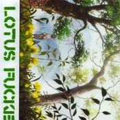 Answer=Bloodwashed Noise [Demo]