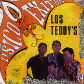 Los Teddy's