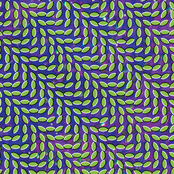 Also Frightened by Animal Collective