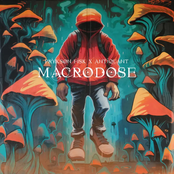 Macrodose
