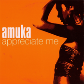 Appreciate Me (trip To Paradise Mix) by Amuka