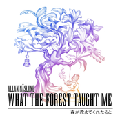 What the Forest Taught Me