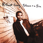 Passing By by Robert Cray