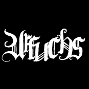 urfuchs