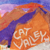 Cat Valley