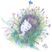 memory foam body pillow