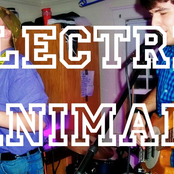 Electric Animal