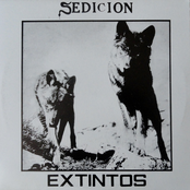 Somos El Futuro by Sedicion